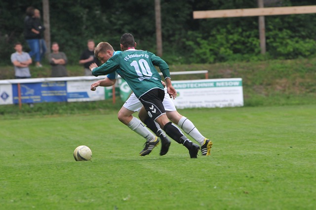 和球场视野 和球场视野