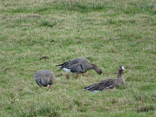 禁让人联想 禁让人联想