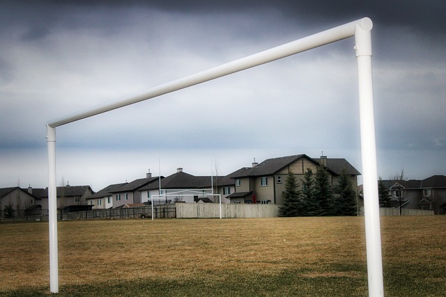 和犀利的反 和犀利的反