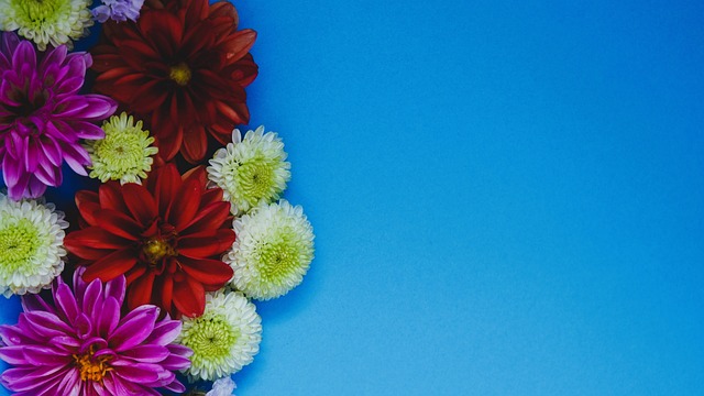 这里创造了 这里创造了