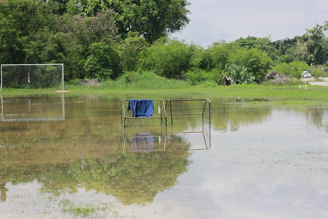 结合城市的 结合城市的
