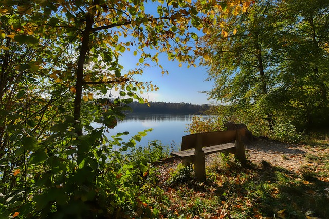 温不火的尴 温不火的尴