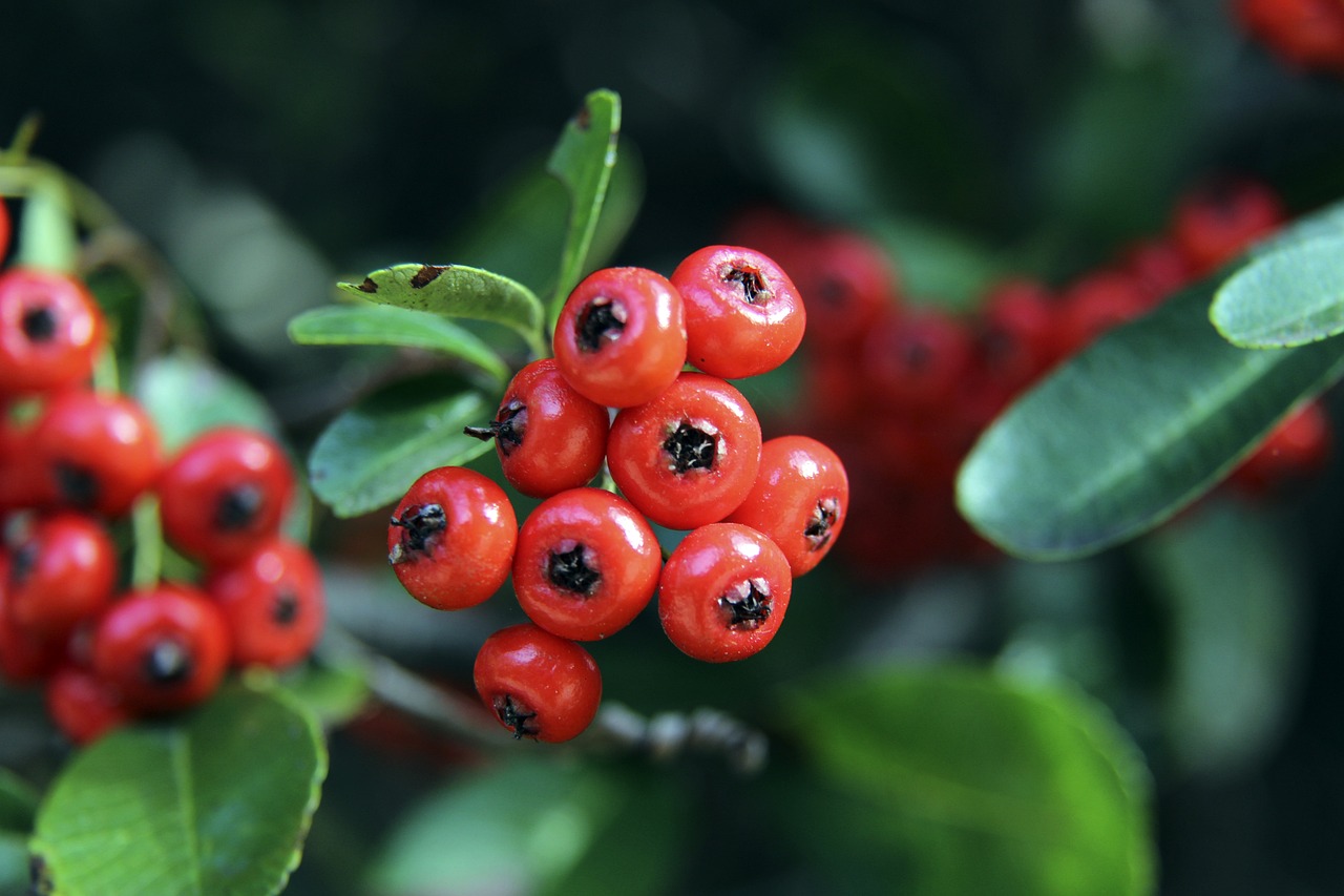 关键时刻决 关键时刻决