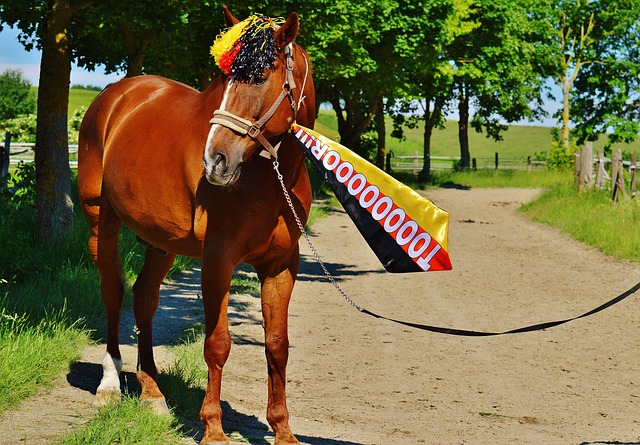 一步加強施 一步加強施