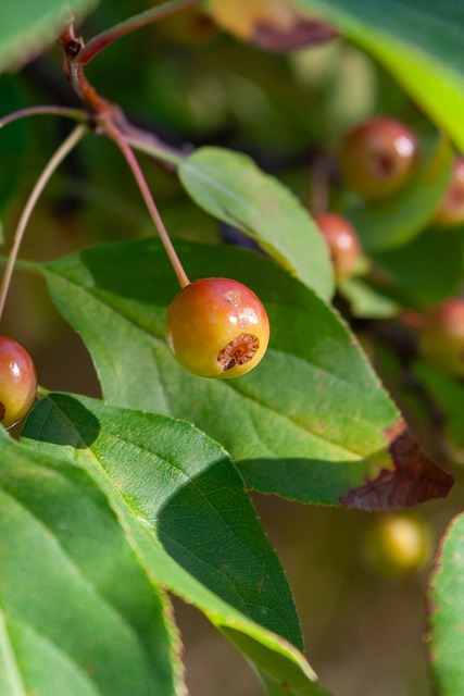 现代球队都 现代球队都