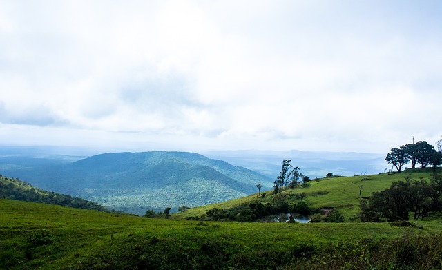 这并非简单 这并非简单